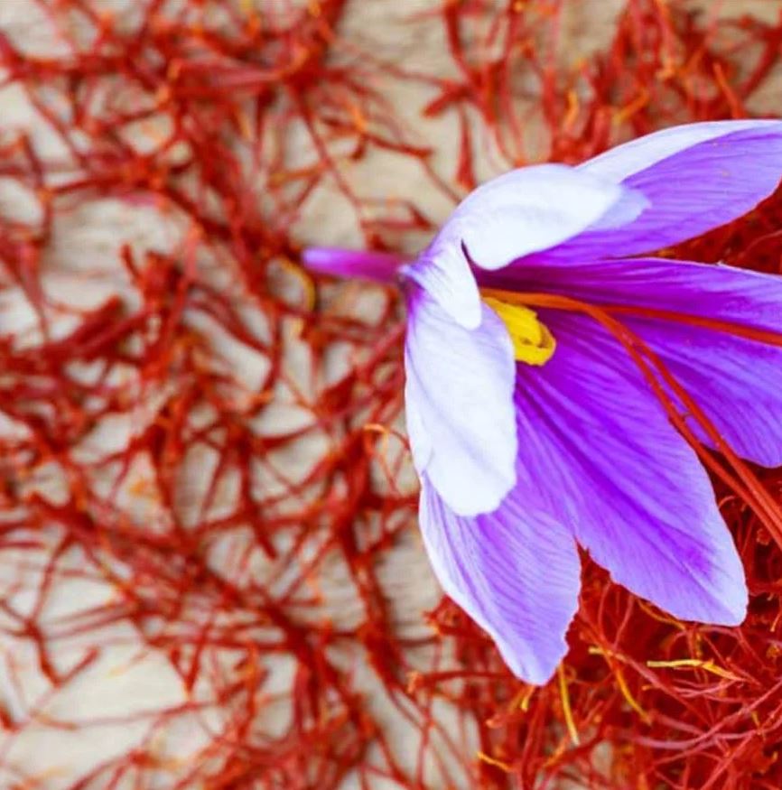 زعفران یک گرمی
