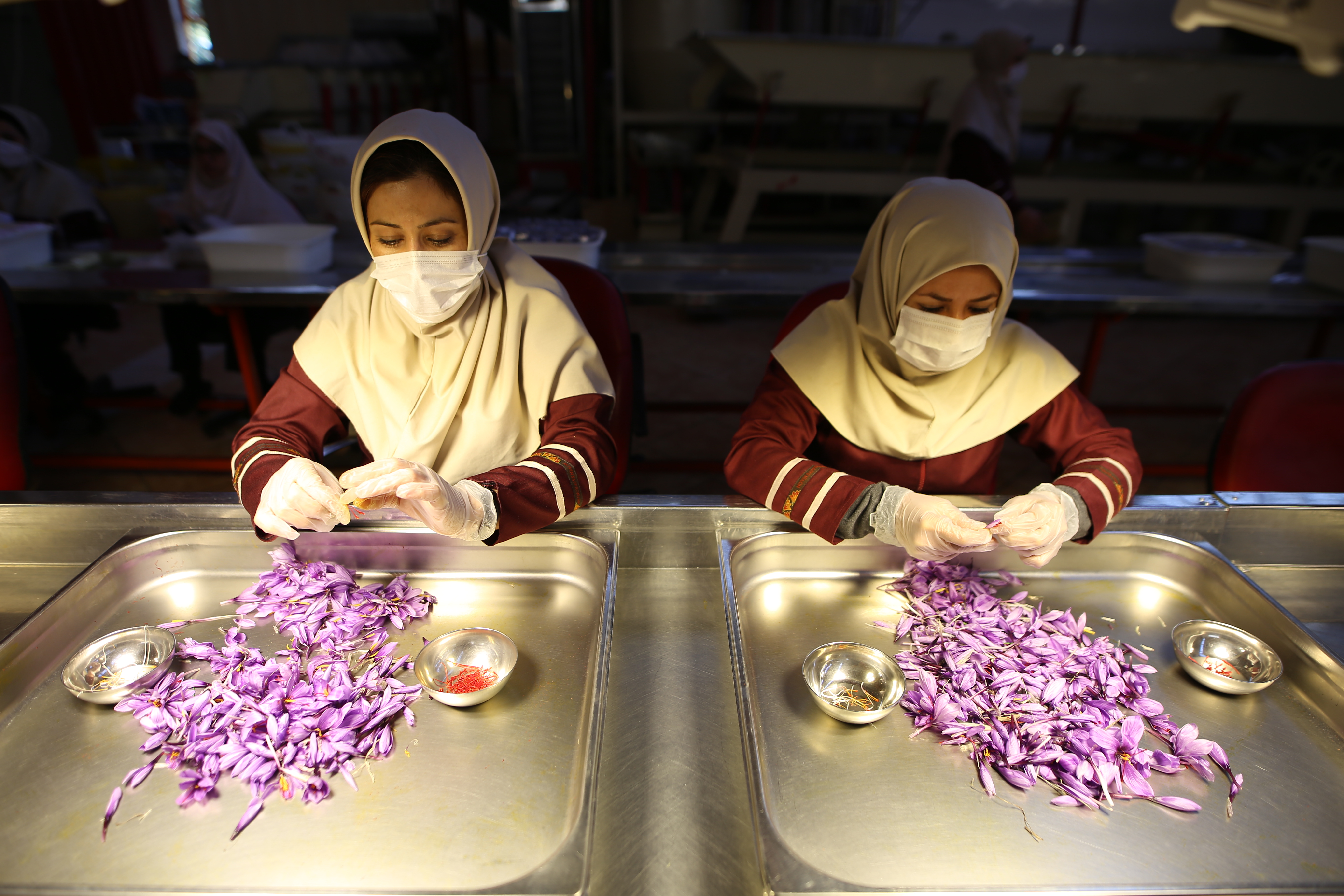 زعفران یک گرمی