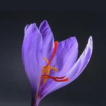 خرید اینترنتی