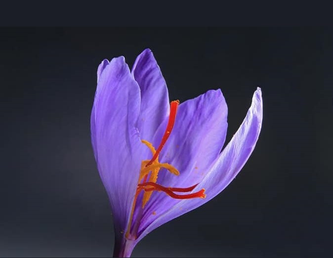 خرید اینترنتی
