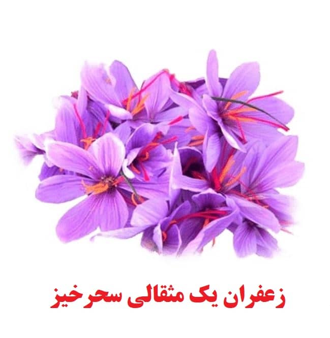 زعفران اصل