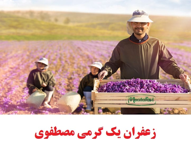 زعفران یک گرمی